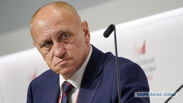 Декан экономического факультета МГУ назвал «абсолютно недостижимым» процветание России