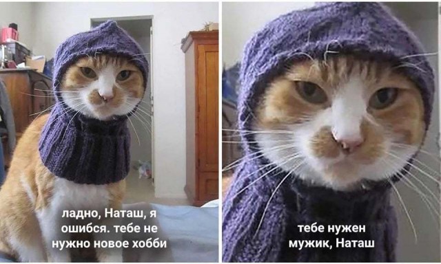 Это Барсук радуется, что я пришла домой