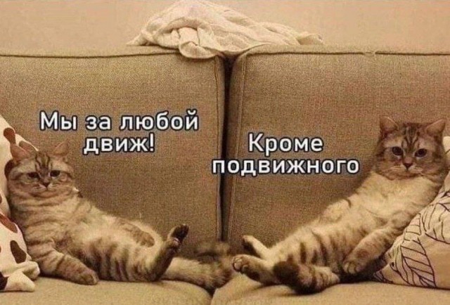 Отряд быстрого деградирования