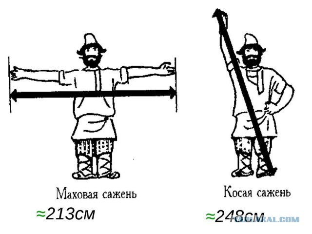 Сколько кусков отрываете туалетной бумаги?