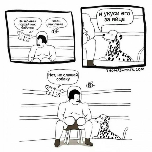 Никакие картинки