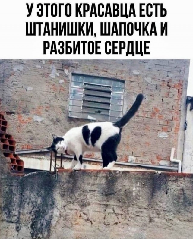 Отряд быстрого деградирования