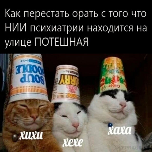 Никакие картинки и тексты
