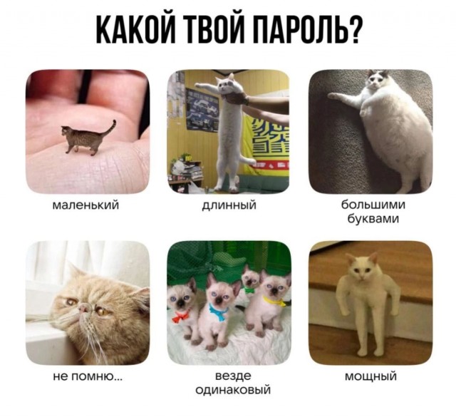 Завалялось тут случайно немного забавных картинок
