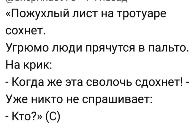 Пробки в Питере