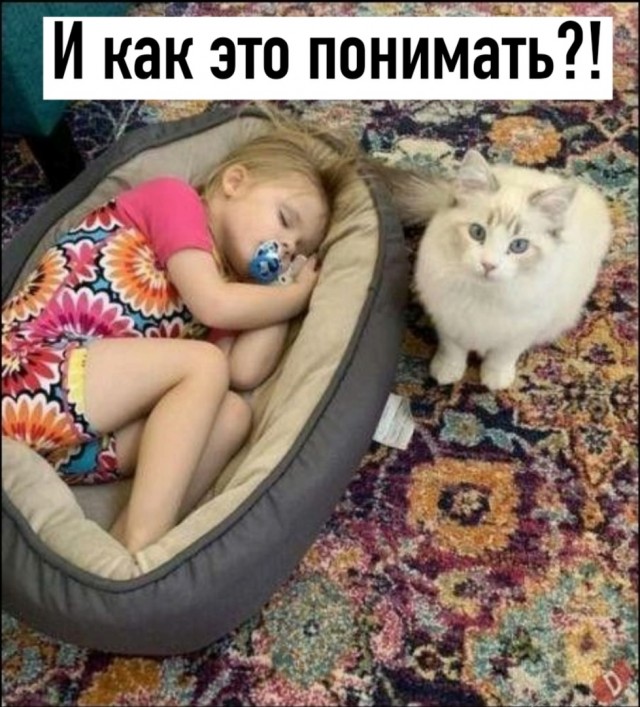 Так себе картинки 17.02.25