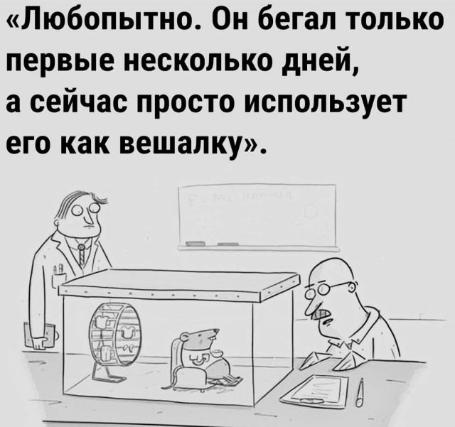 Завалялось тут случайно немного забавных картинок