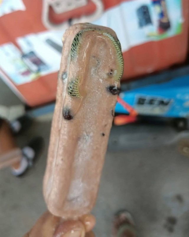 Деликатес дня: мороженое с целой змеей попалось туристу из России