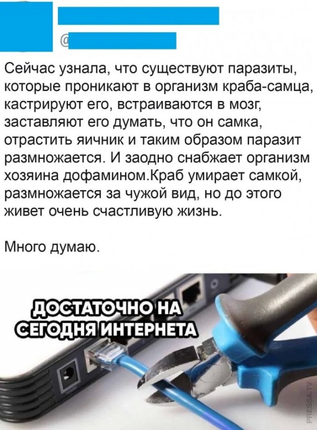 Забавные комментарии, которые как острый соус приправляют сам пост