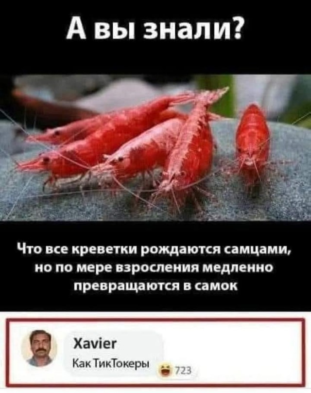 Маленькая пятница 18.06