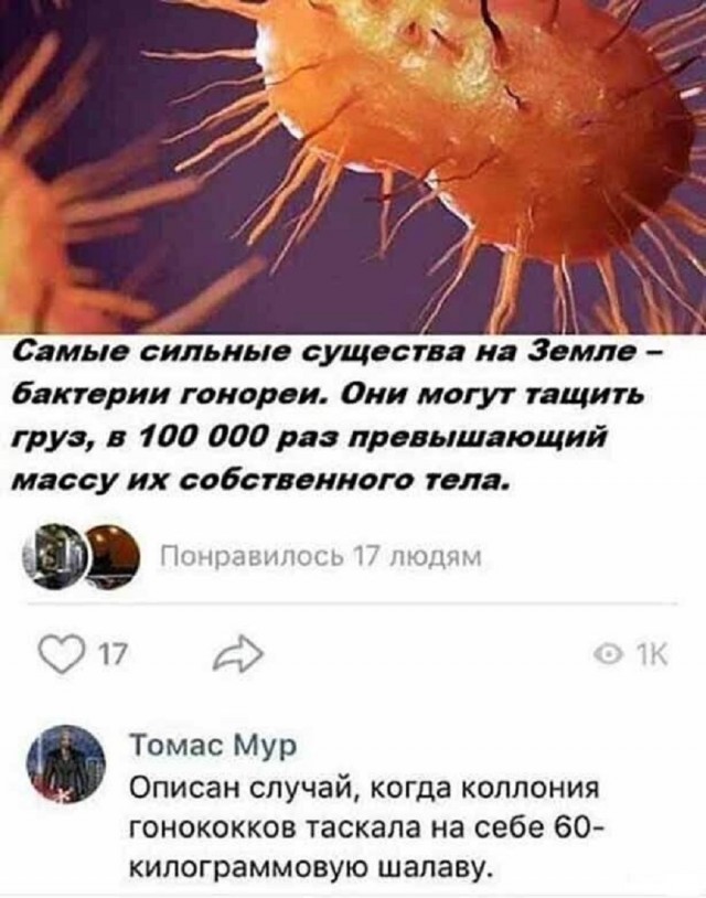 Так себе картинки 16.07.25