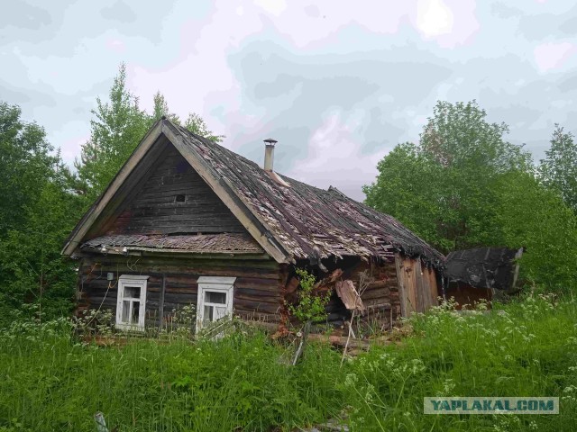На квадроциклах по Вепсскому лесу