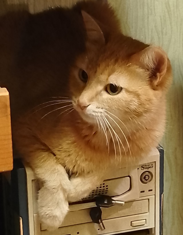 Принимайте в ряды которабов