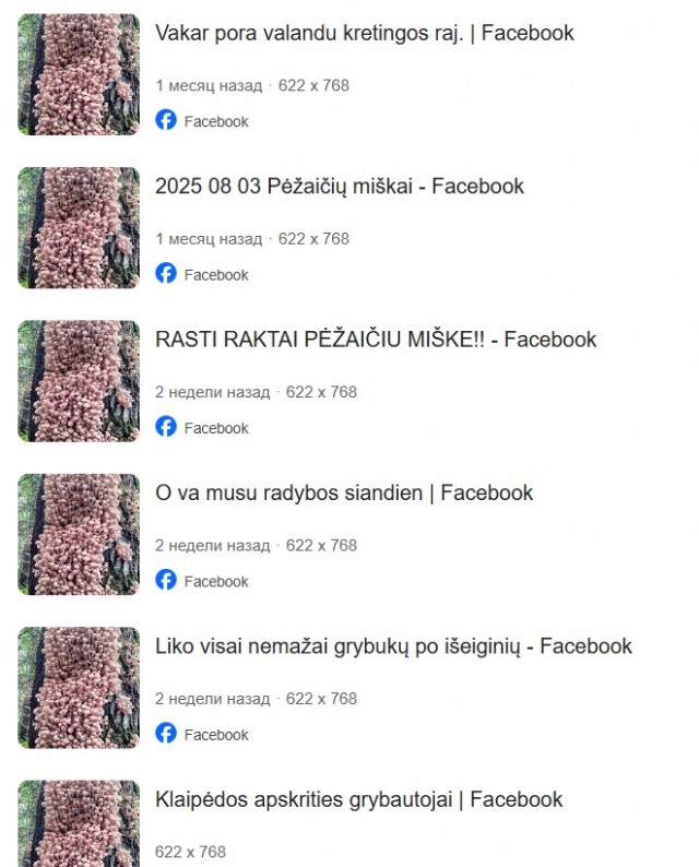 Ходили брить деревья