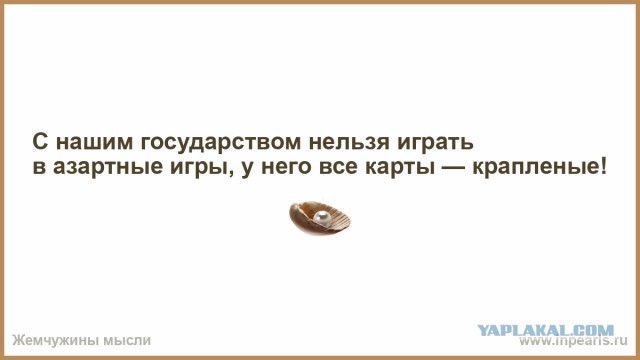 Криптоинвестор Роман Новак, известный как «друг Дурова», кинул инвесторов на 40 млрд рублей и сбежал в Южную Африку