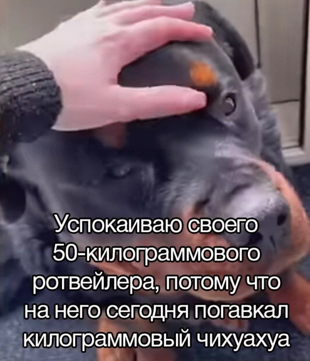 Пятничные картинки