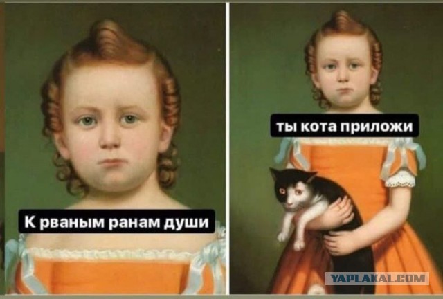 Хотите кошку в дом?