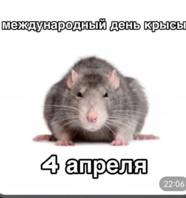 Субботние картинки