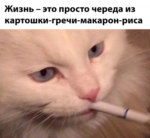 Картинки, надписи.