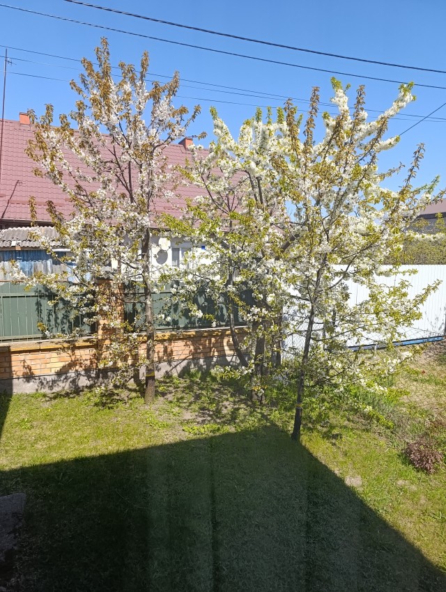 Что-то на богатом
