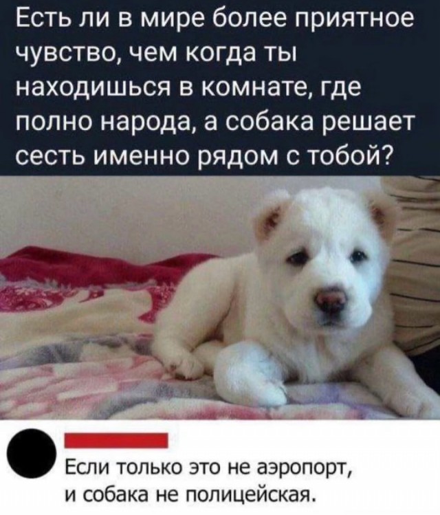 Веселое настроение в картинках 12.08.26