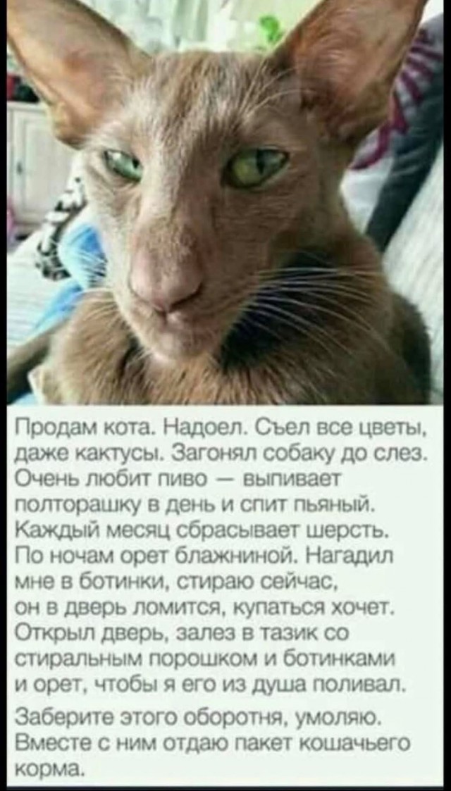 Если жизнь дала тебе лимон — сделай лимонад. Если жизнь дала тебе помидор — не пытайся сделать лимонад