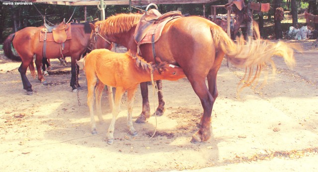 Крым: Судак и окрестности