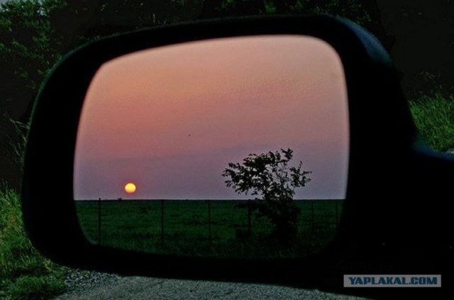 Подборка отражений в зеркалах заднего вида
