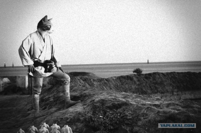 Звери - люди