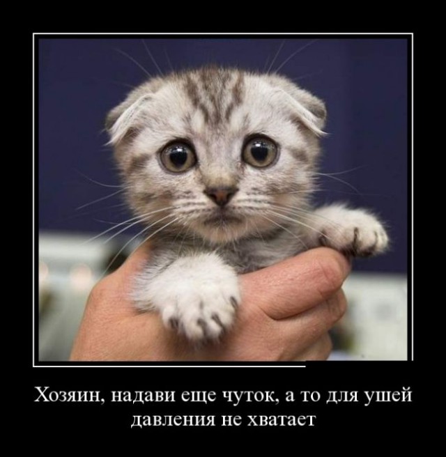 Демотиваторы октября.