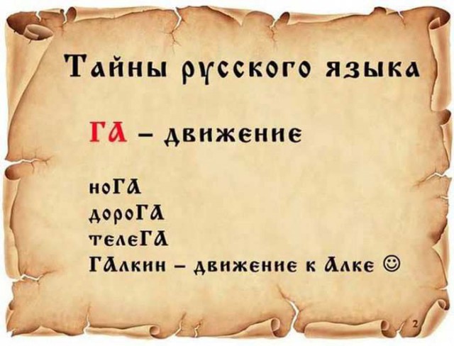 20 фактов обо всем