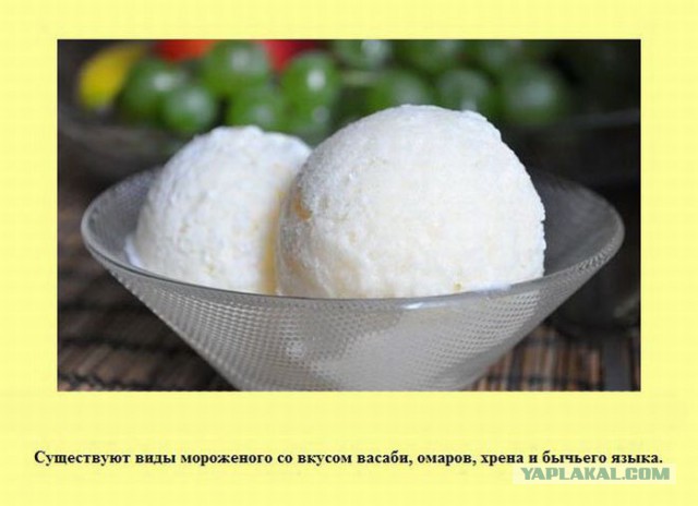20 фактов обо всем