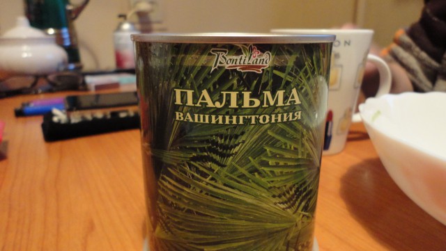 Посадил дерево