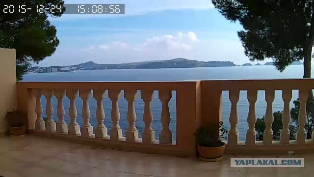 За что я люблю китайцев