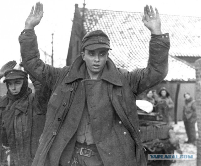 Столкновения с правоохранителями во Львове