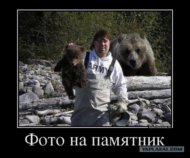 Нападения животных на людей