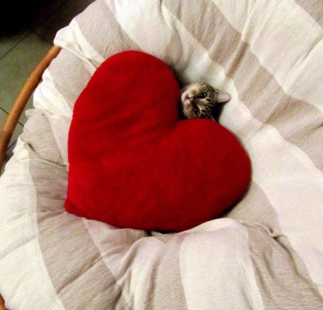 Подборка картинок выходного дня