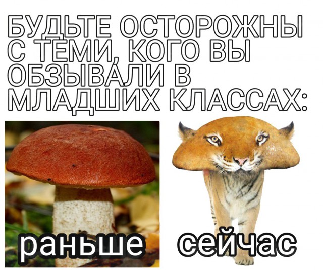 Деградации ЯПу от Креизи