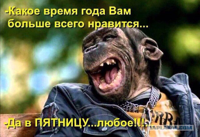 Смешные комментарии из социальных сетей 09.06.2017