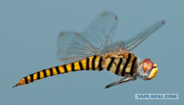 Продолжение борьбы с беспределом от Билайна
