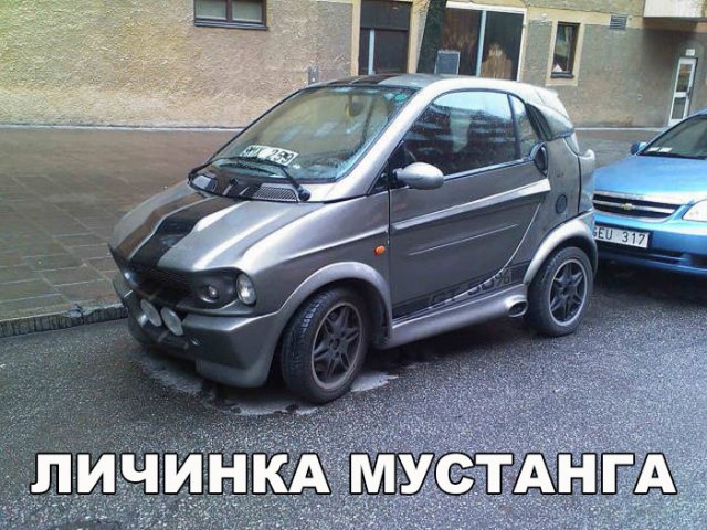 Немного картинок