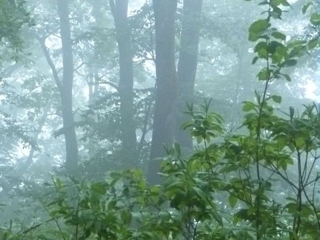 По дороге с облаками