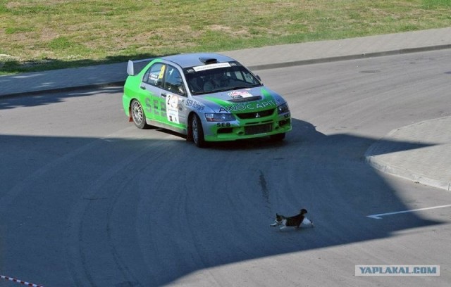 Случай на ралли