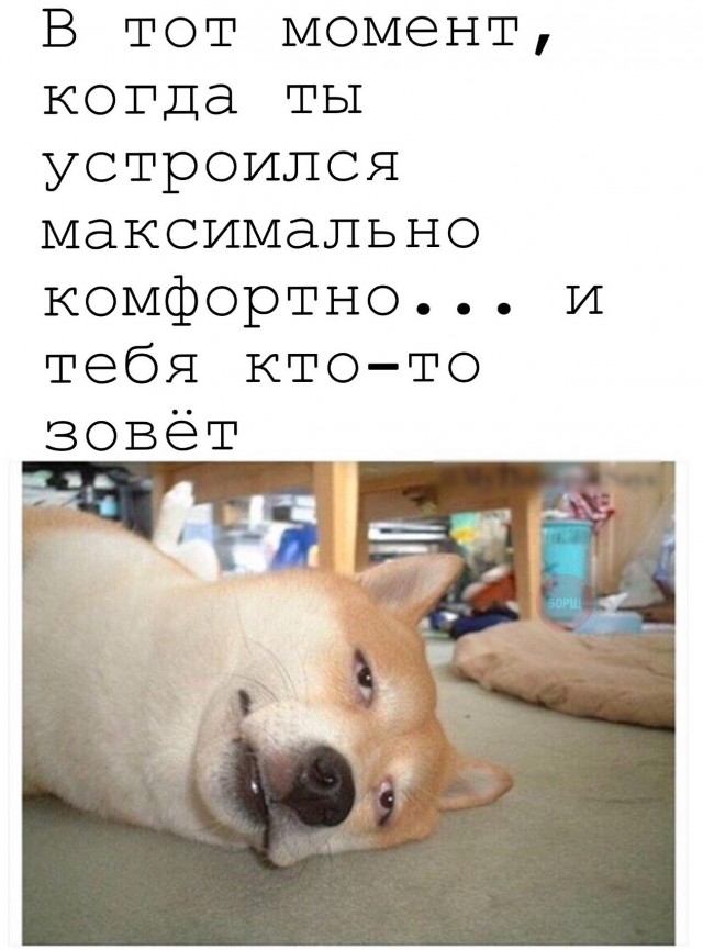 Весёлая карусель