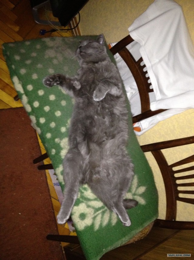 Волочкова нервно курит от зависти