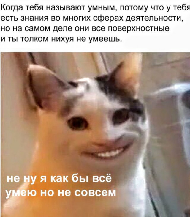 Анекдоты, соц-сети, истории и картинки с надписями