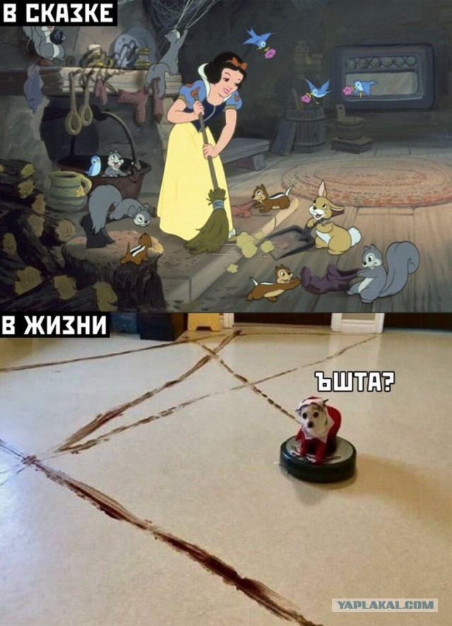 "Ответочка" пылесосу