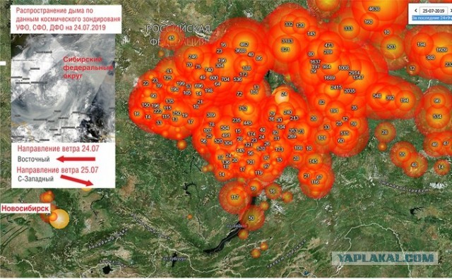 Пожары- Лесной кодекс 2006 года разрушает систему государственного управления лесами (основы которой заложил еще Петр Первый)