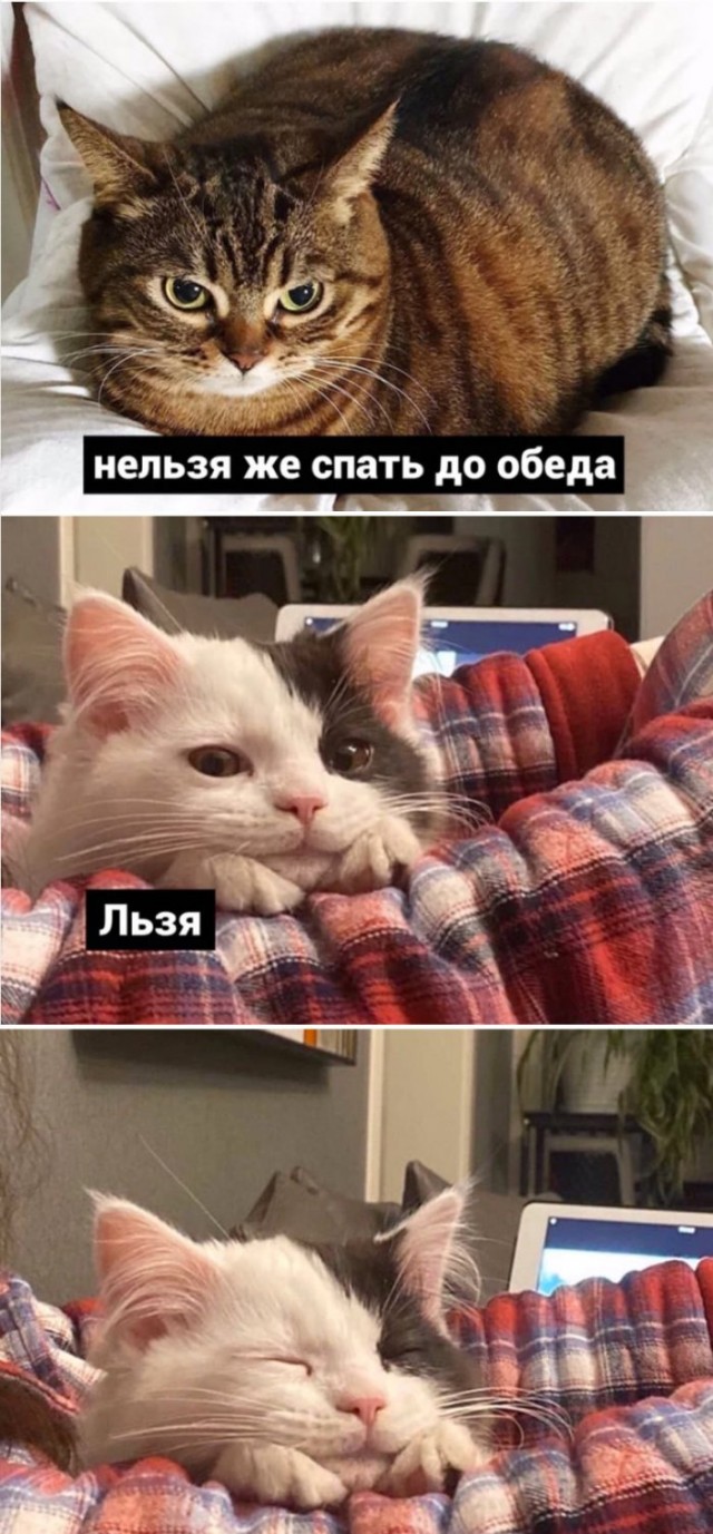 Немного картинок для настроения 27.05.20
