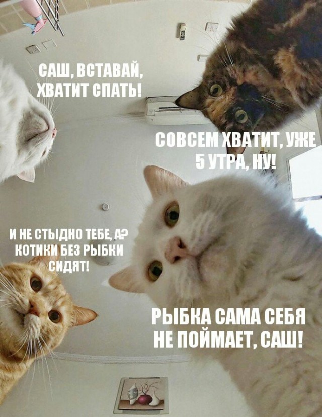 Мемы про Наташу